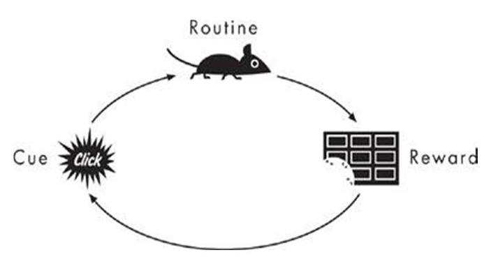 The Power of Habit Chapter 4: Keystone Habits, or the Ballad of